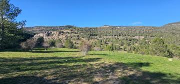 X00182 VILLAFRANCA DEL CID