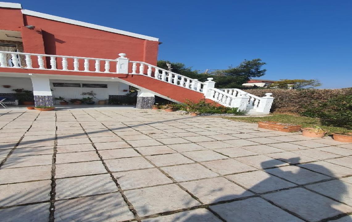 Img_42076_C0050401.jpg